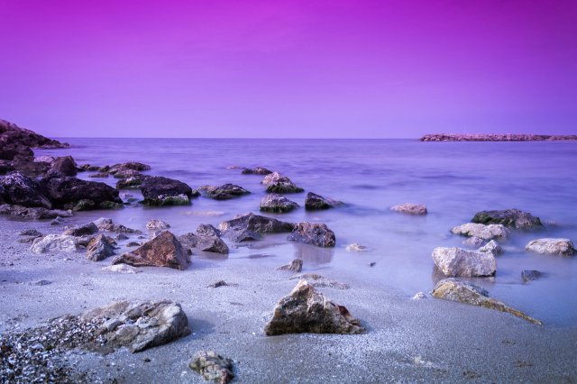 Fondos purpura
